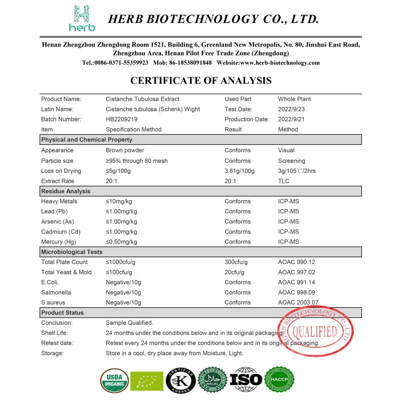 Cistanche Extract Powder Manufacturer - OEM/ODM High Quality 10:1 20:1 Cistanche Tubulosa Supplement