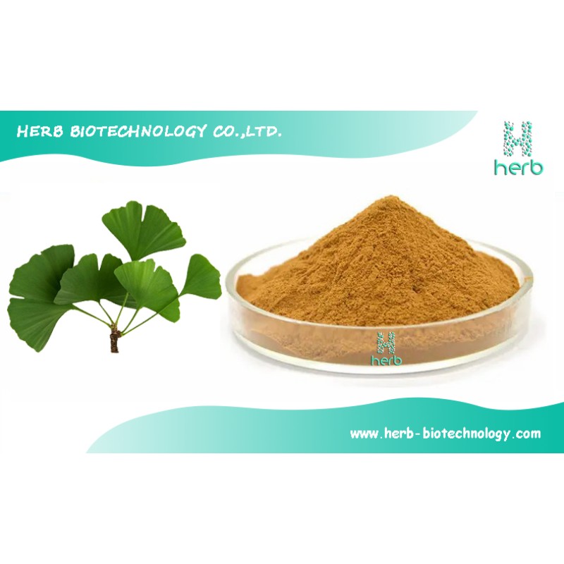 Ginkgo Biloba Leaf Extract Powder Manufacturer - OEM/ODM 24% Flavonoids 6% Lactones Supplement