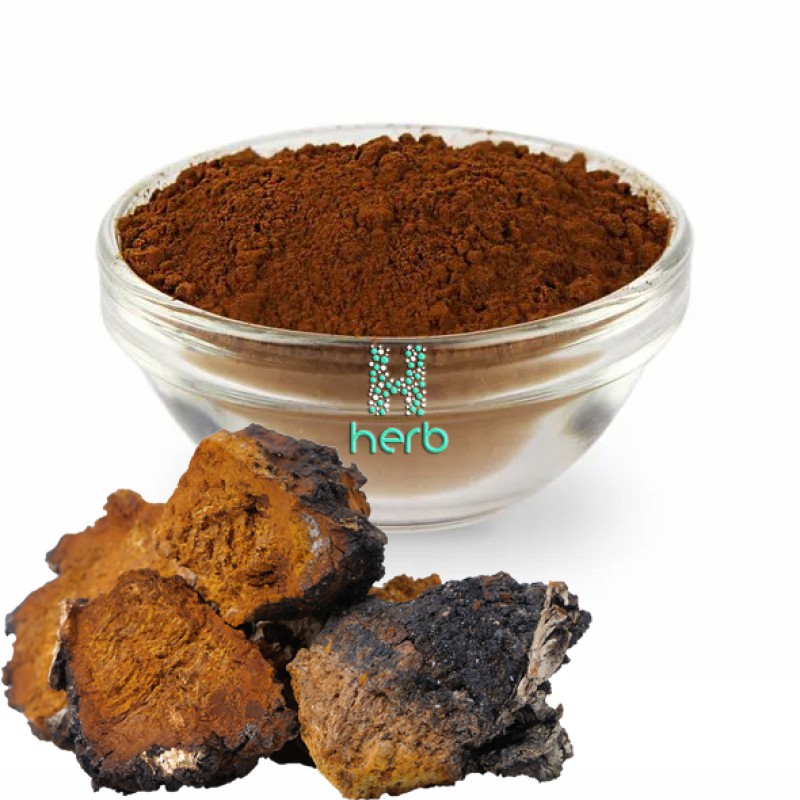 Organic Chaga Mushroom Extract Powder Manufacturer - OEM/ODM GMP Water Soluble Supplement
