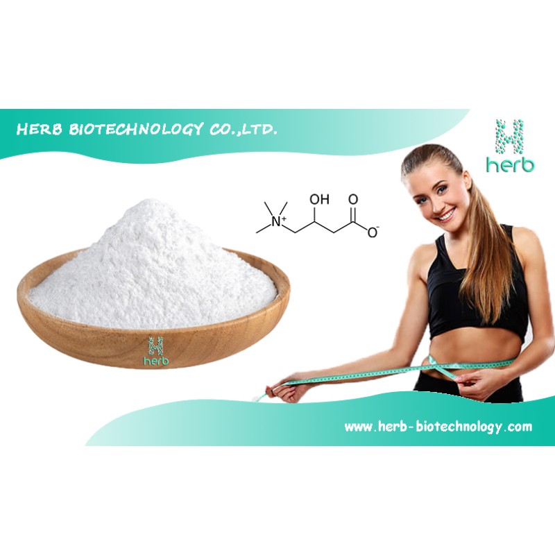 L-Carnitine Powder Manufacturer - OEM/ODM Best Price Pure L Carnitine Supplement