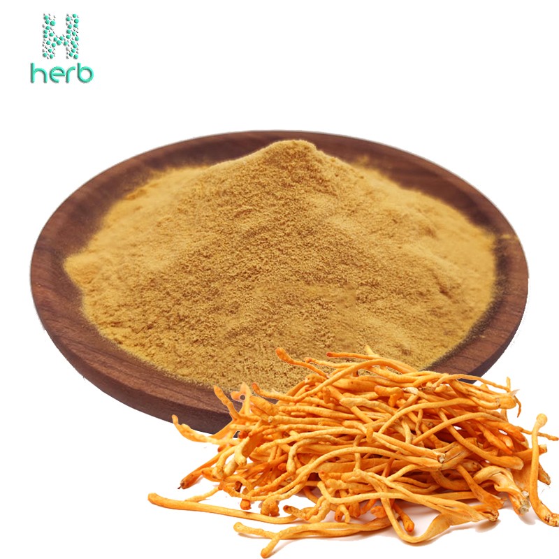Cordyceps Supplement Manufacturer - OEM/ODM Wholesale Cordyceps Flower Militaris Extract Powder