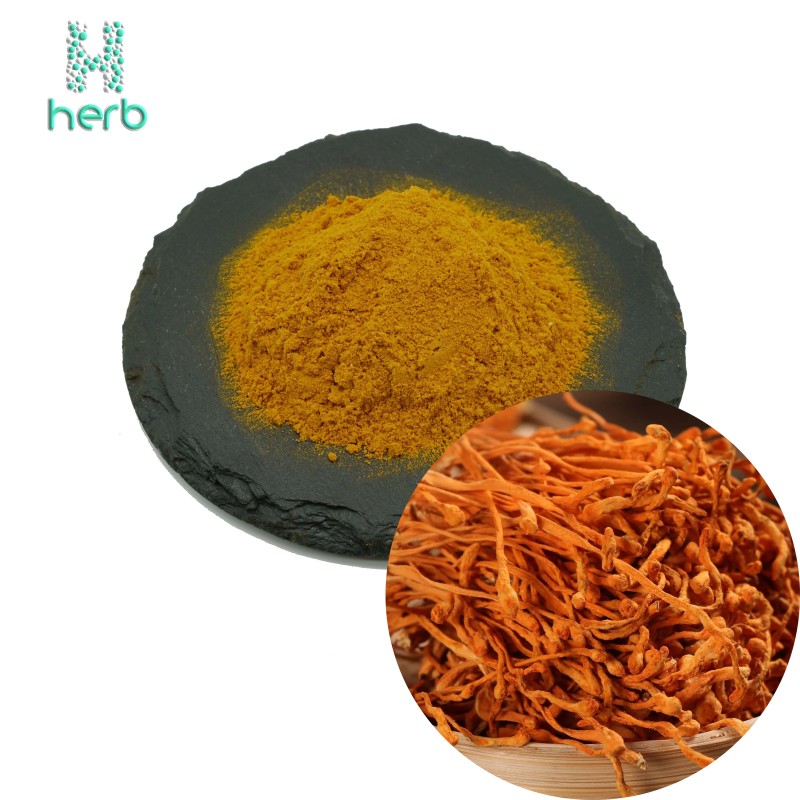 Cordyceps Supplement Manufacturer - OEM/ODM Wholesale Cordyceps Flower Militaris Extract Powder
