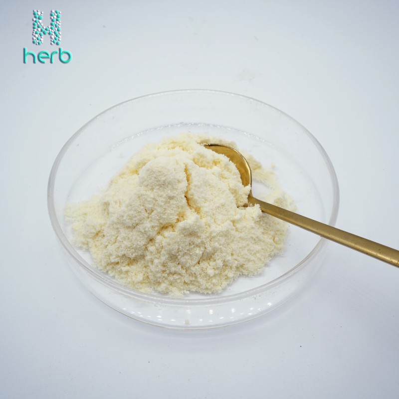 Organic Lyophilized Royal Jelly Powder Manufacturer - OEM/ODM 4%-6% 10-HDA Supplement