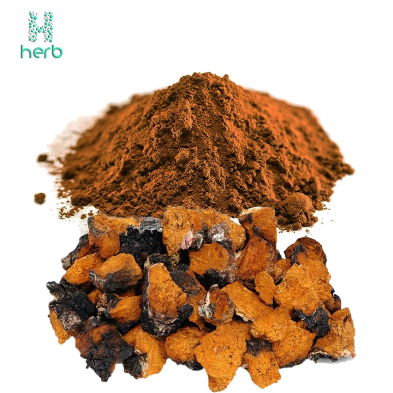 Organic Chaga Mushroom Extract Powder Manufacturer - OEM/ODM GMP Water Soluble Supplement