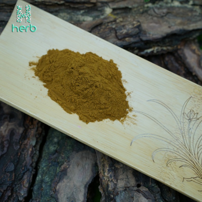 Spilanthes Acmella Extract Powder Manufacturer - OEM/ODM Factory Supply 10:1 20:1 Acmella Oleracea Supplement