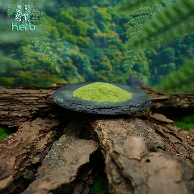 Organic Moringa Powder Manufacturer - OEM/ODM Factory Supply High Quality Moringa Oleifera Leaf Extract