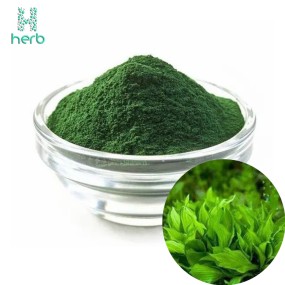 Organic Spirulina Powder Manufacturer - OEM/ODM Wholesale Bulk 100% Pure Green Food/Feed Grade