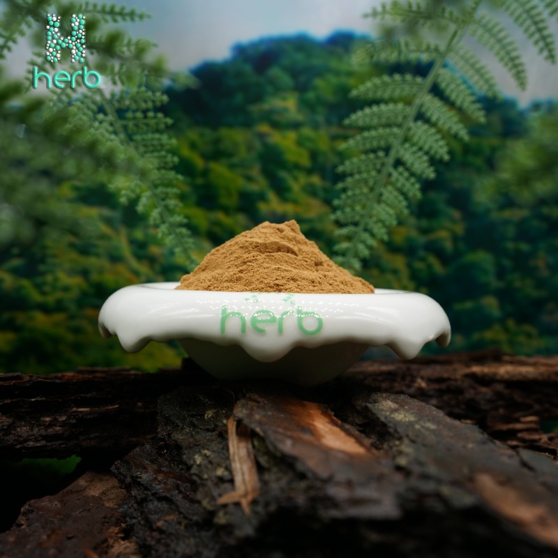 Spilanthes Acmella Extract Powder Manufacturer - OEM/ODM Factory Supply 10:1 20:1 Acmella Oleracea Supplement