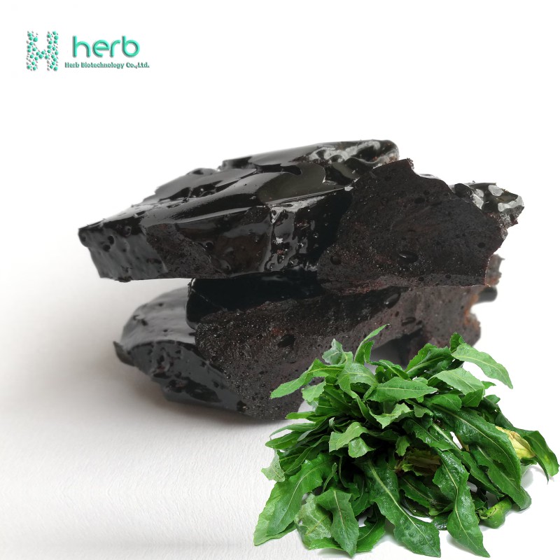 Lactuca Virosa Extract Powder Manufacturer - OEM/ODM Factory Supply Bulk Price 10:1 Wild Lettuce Extract