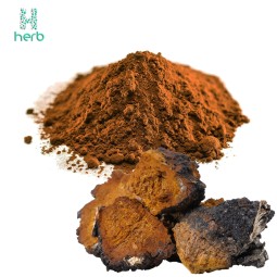 Organic Chaga Mushroom Extract Powder Manufacturer - OEM/ODM GMP Water Soluble Supplement