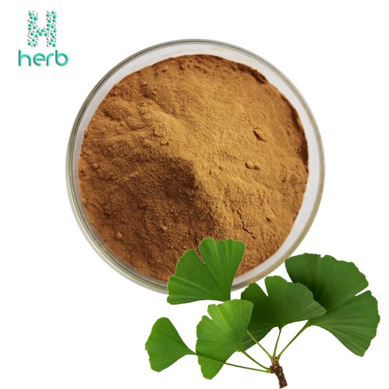 Ginkgo Biloba Leaf Extract Powder Manufacturer - OEM/ODM 24% Flavonoids 6% Lactones Supplement