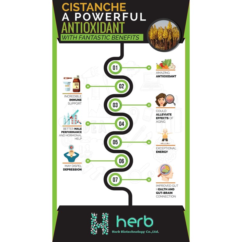 Cistanche Extract Powder Manufacturer - OEM/ODM High Quality 10:1 20:1 Cistanche Tubulosa Supplement