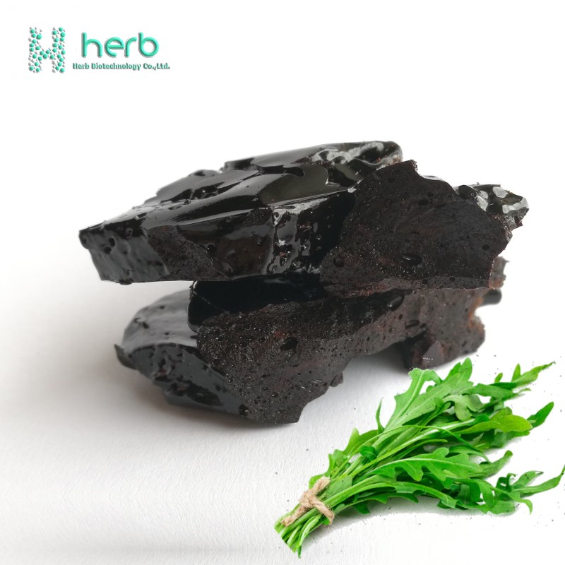 Lactuca Virosa Extract Powder Manufacturer - OEM/ODM Factory Supply Bulk Price 10:1 Wild Lettuce Extract