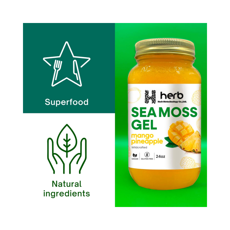 Sea Moss Gel Manufacturer - OEM/ODM Raw Pineapple Flavored Irish Seamoss Gel (For Immune & Digestive Support)