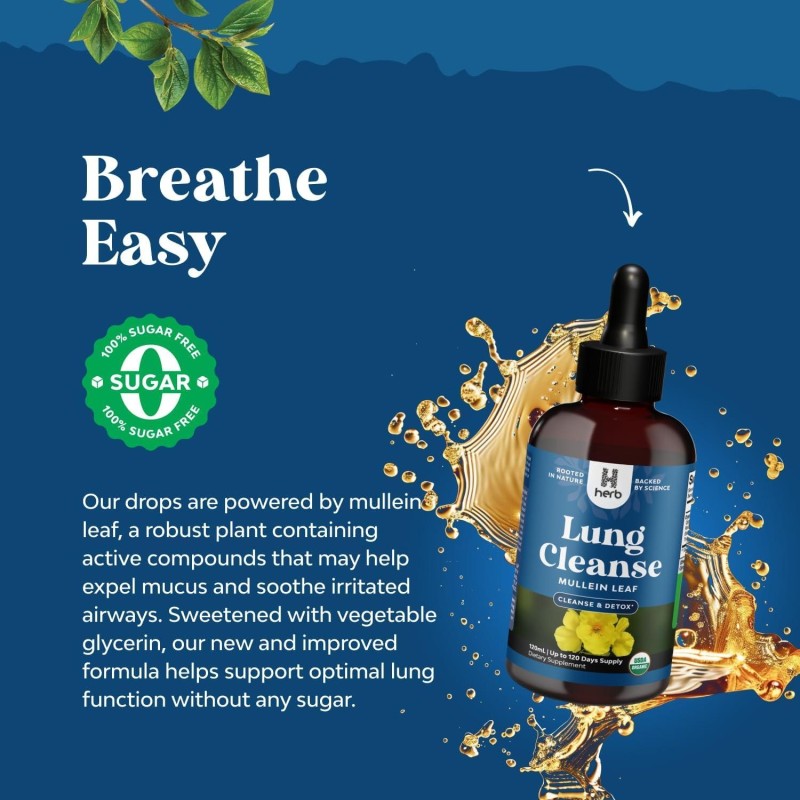 Lung Cleanse Drops Manufacturer - OEM/ODM Herbal Supplement with Marshmallow Root & Plantain Leaf for Respiratory Health