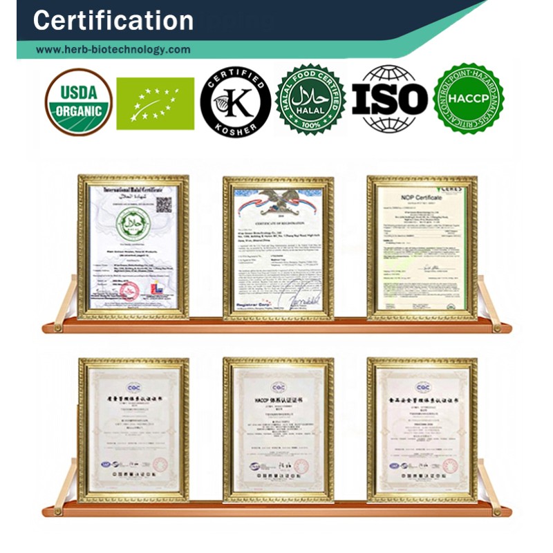 Organic Spirulina Powder Manufacturer - OEM/ODM Wholesale Bulk 100% Pure Green Food/Feed Grade