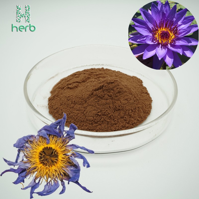 Blue Lotus Flower Extract Powder Manufacturer - OEM/ODM Hot Sell Dried Nymphaea Tetragona Lotus Leaf Flower Extract