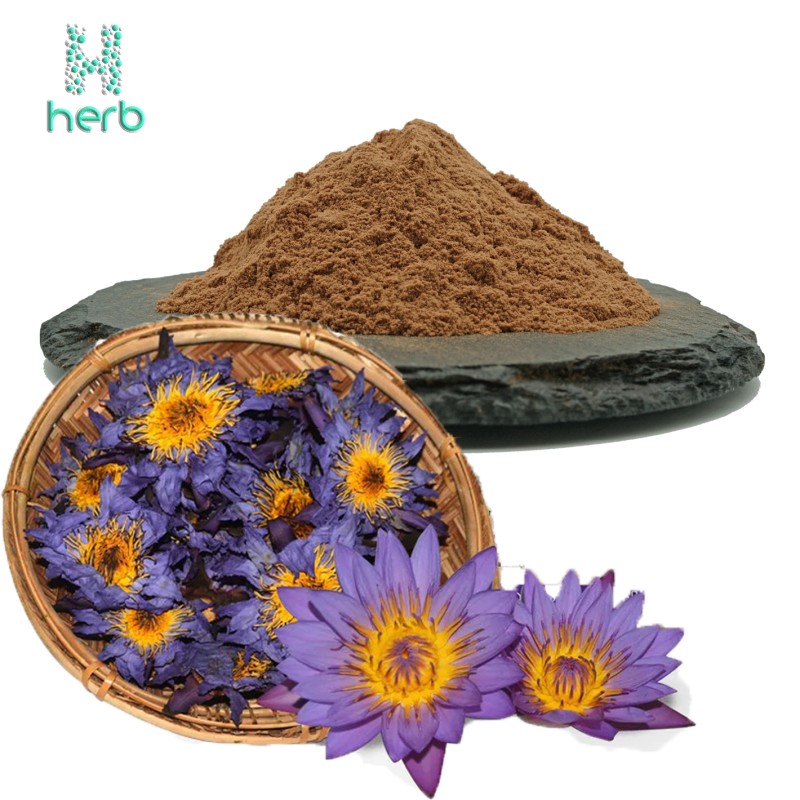 Blue Lotus Flower Extract Powder Manufacturer - OEM/ODM Hot Sell Dried Nymphaea Tetragona Lotus Leaf Flower Extract