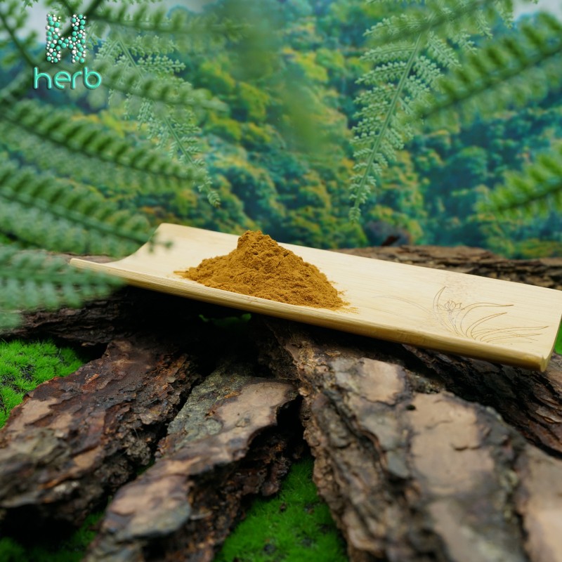 Cordyceps Supplement Manufacturer - OEM/ODM Wholesale Cordyceps Flower Militaris Extract Powder