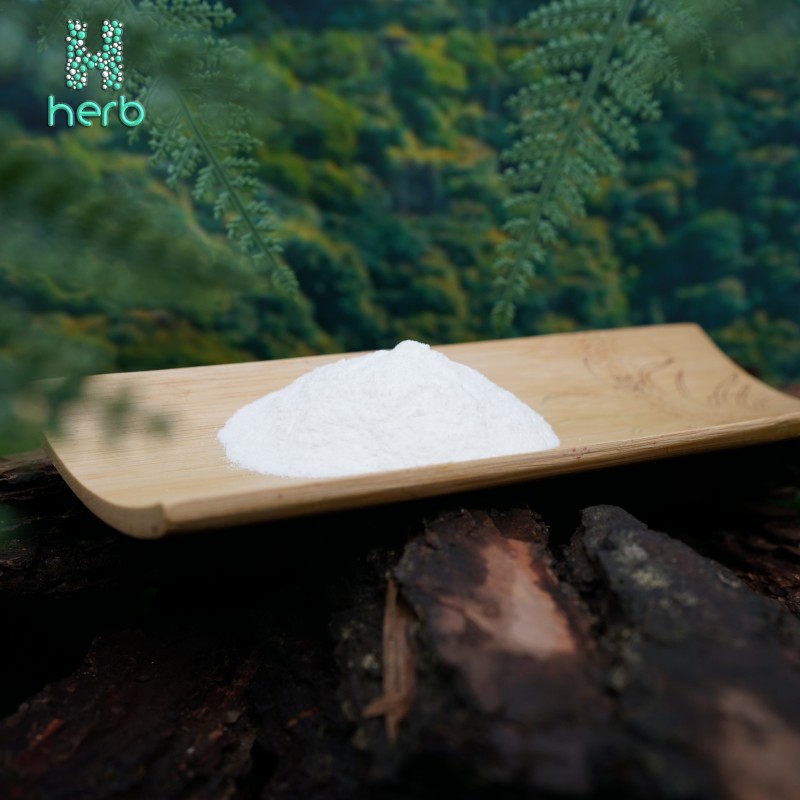 Polygonum Cuspidatum Extract Manufacturer - OEM/ODM Natural Herbal Extract 98% Polydatin