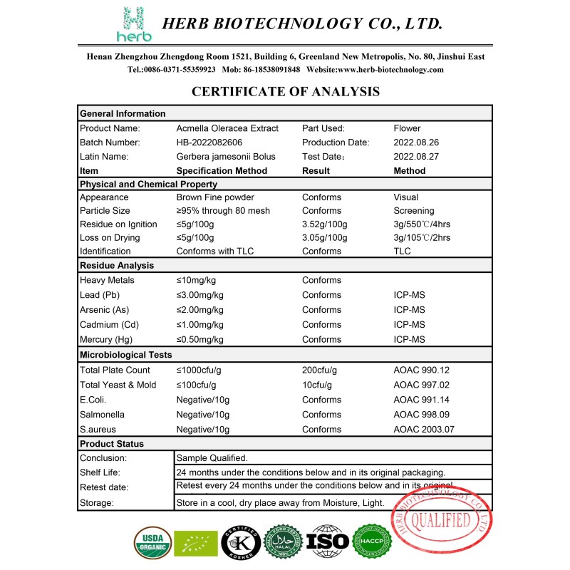 Spilanthes Acmella Extract Powder Manufacturer - OEM/ODM Factory Supply 10:1 20:1 Acmella Oleracea Supplement