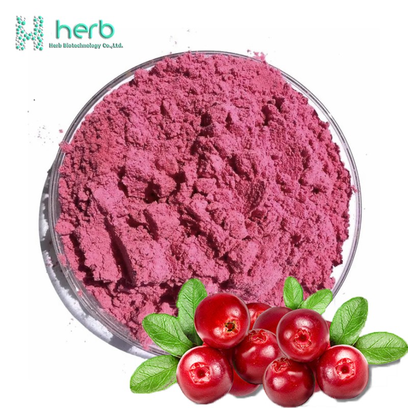 Organic Cranberry Extract Powder Manufacturer - OEM/ODM Wholesale 5% 10% 15% 25% PAC Supplement