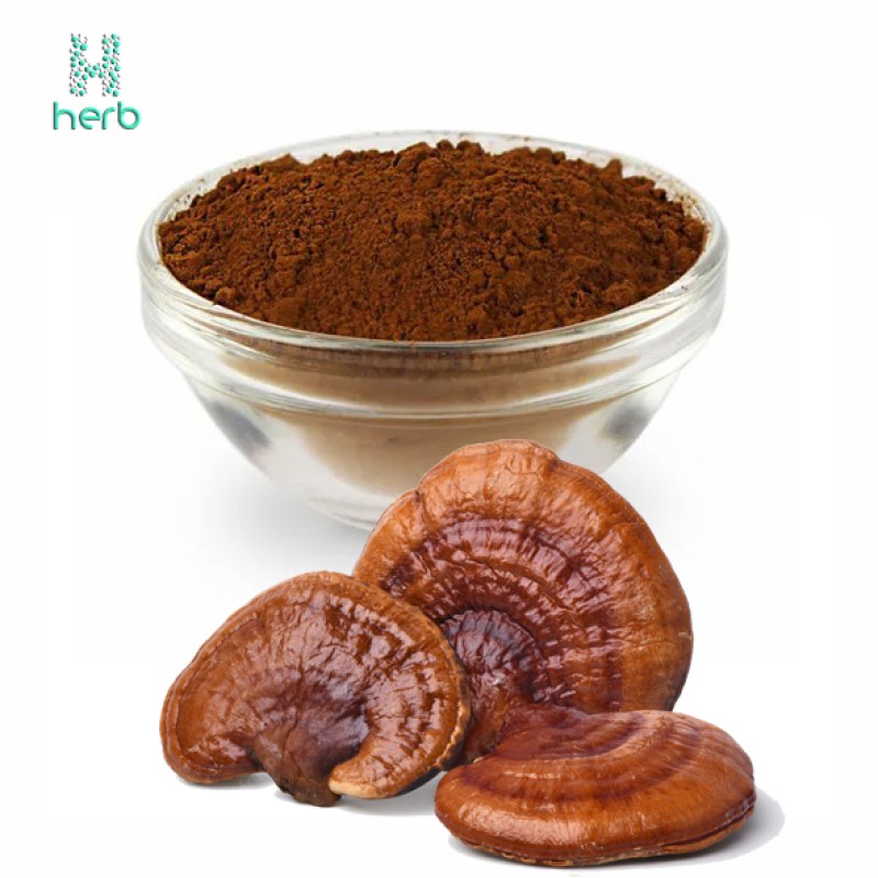Ganoderma Lucidum Extract Powder Manufacturer - OEM/ODM Wholesale Bulk Pure Organic Reishi Mushroom Supplement