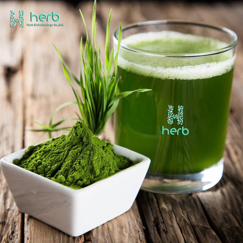 Organic Barley Grass Juice Powder Manufacturer - OEM/ODM Premium Barley Grass Supplement