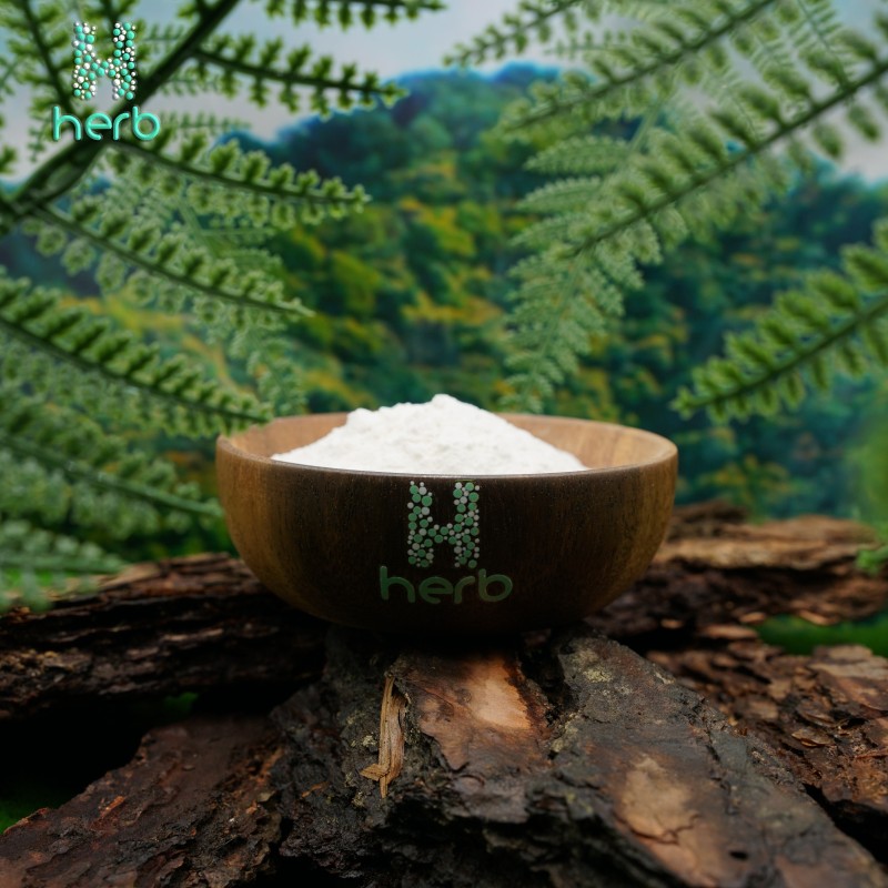 Polygonum Cuspidatum Extract Manufacturer - OEM/ODM Natural Herbal Extract 98% Polydatin