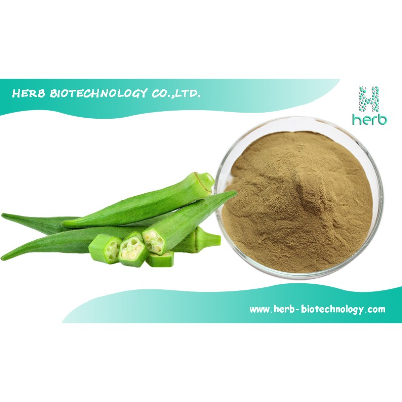 Okra Extract Powder Manufacturer - OEM/ODM 100% Pure Okra Supplement