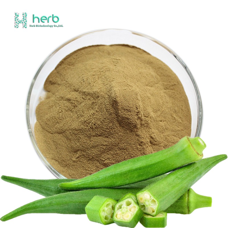 Okra Extract Powder Manufacturer - OEM/ODM 100% Pure Okra Supplement