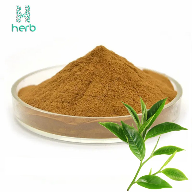Green Tea Extract Powder Manufacturer - OEM/ODM 98% UV EGC EGCG Tea Polyphenols Supplement
