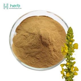 Mullein Leaf Extract Powder Manufacturer - OEM/ODM Wholesale Verbascum Thapsus Mullein Extract