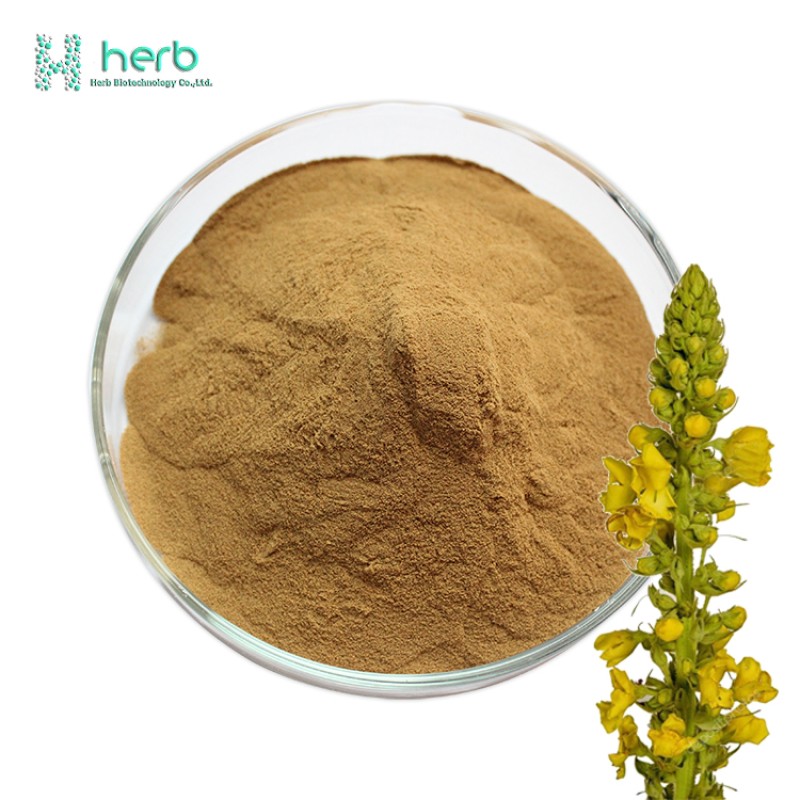 Mullein Leaf Extract Powder Manufacturer - OEM/ODM Wholesale Verbascum Thapsus Mullein Extract