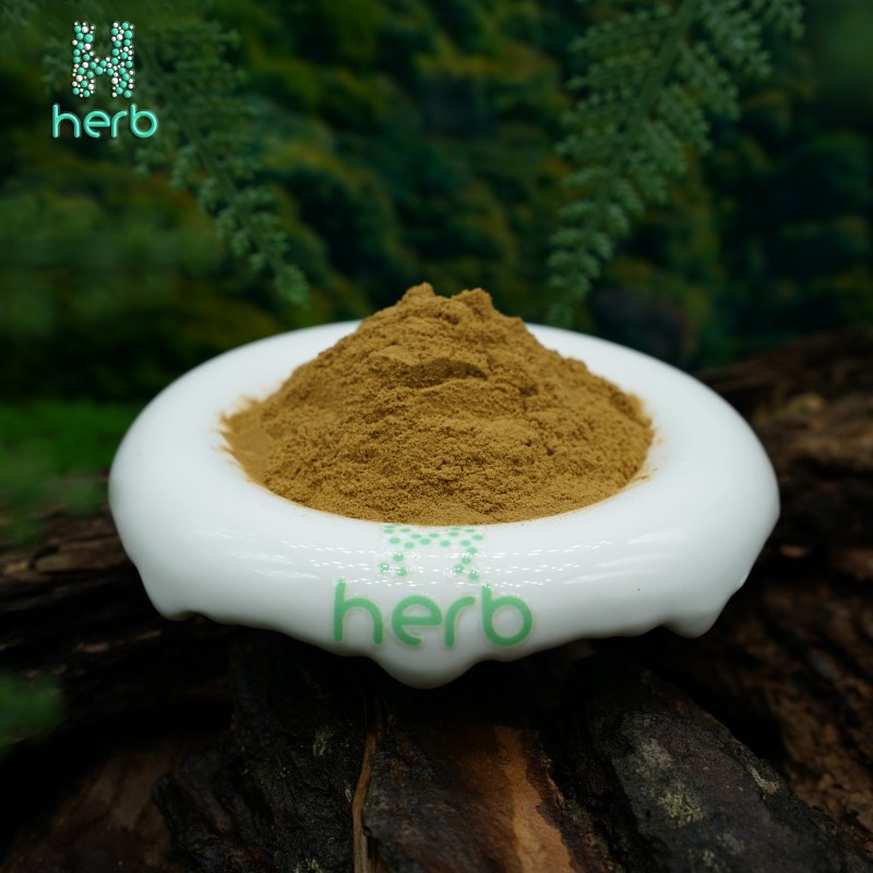 Turkesterone Extract Powder Manufacturer - OEM/ODM Wholesale Bulk 100% Pure 2% 10% Ajuga Turkestanica