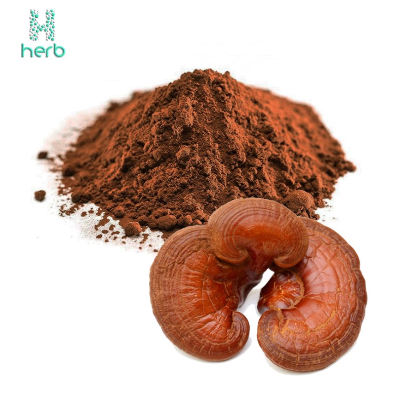 Ganoderma Lucidum Extract Powder Manufacturer - OEM/ODM Wholesale Bulk Pure Organic Reishi Mushroom Supplement