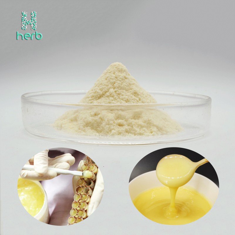 Organic Lyophilized Royal Jelly Powder Manufacturer - OEM/ODM 4%-6% 10-HDA Supplement