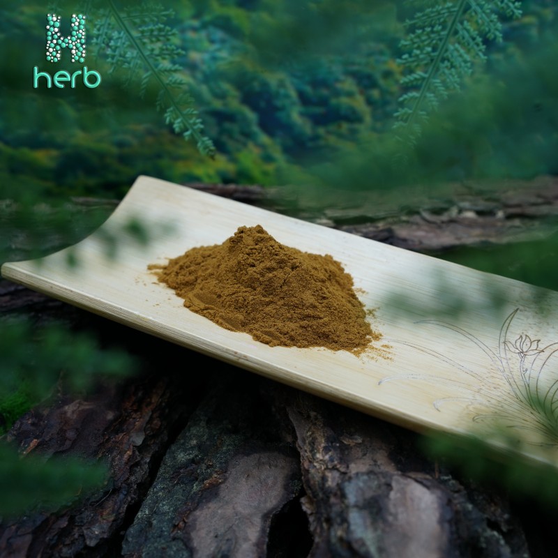 Turkesterone Extract Powder Manufacturer - OEM/ODM Wholesale Bulk 100% Pure 2% 10% Ajuga Turkestanica