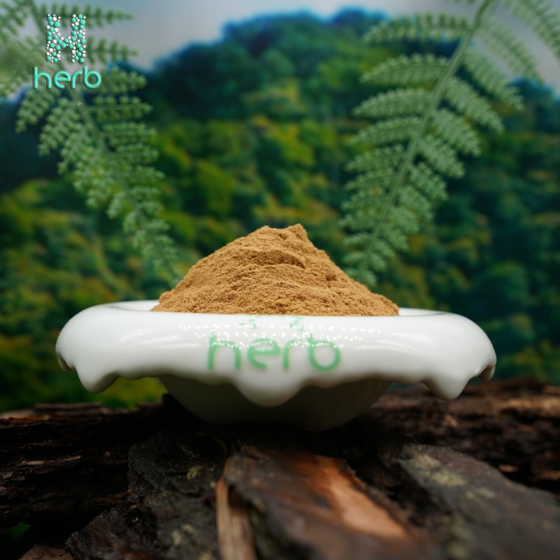 Green Tea Extract Powder Manufacturer - OEM/ODM 98% UV EGC EGCG Tea Polyphenols Supplement