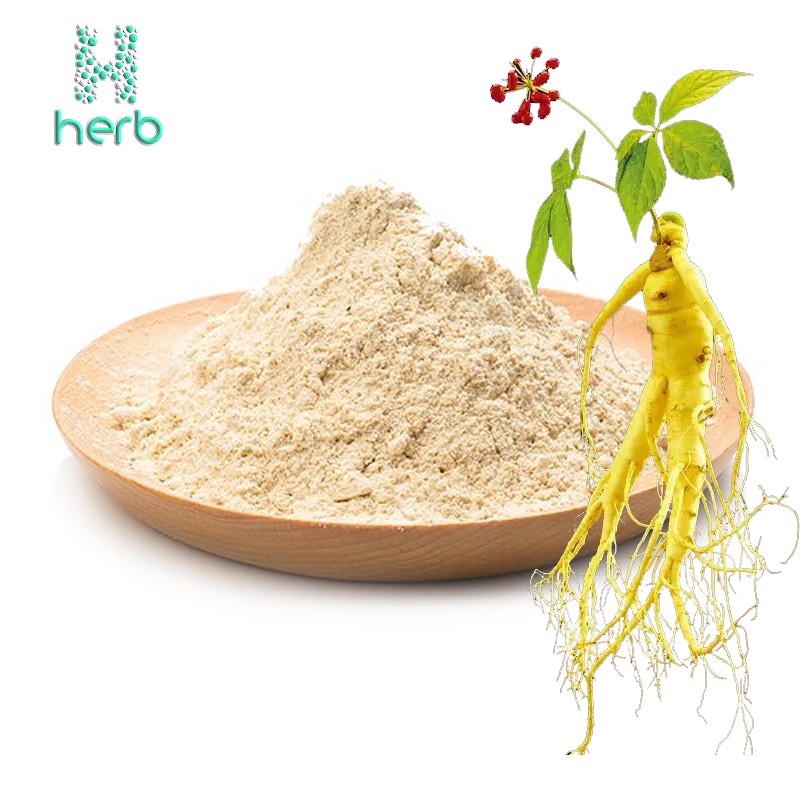 Ginseng Extract Manufacturer - OEM/ODM Best Price 80% Ginsenoside Supplement