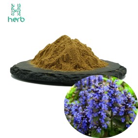 Turkesterone Extract Powder Manufacturer - OEM/ODM Wholesale Bulk 100% Pure 2% 10% Ajuga Turkestanica