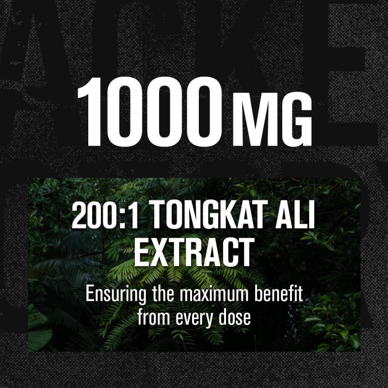 Tongkat Ali Capsules Manufacturer - OEM/ODM 120 Capsules with Tribulus Terrestris & BioPerine (Vegetarian Non-GMO Gluten-Free)