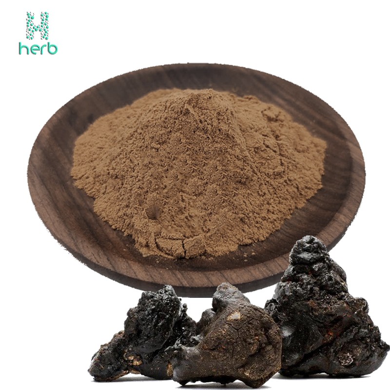 Shilajit Extract Powder Manufacturer - OEM/ODM Wholesale Cheap Price 100% Natural 50% Fulvic Acid Food Grade