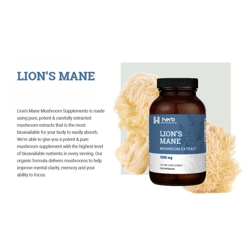 ODM/OEM Lion's Mane Capsules Manufacturer - Private Label Natural Extract Supplement for Immune Support