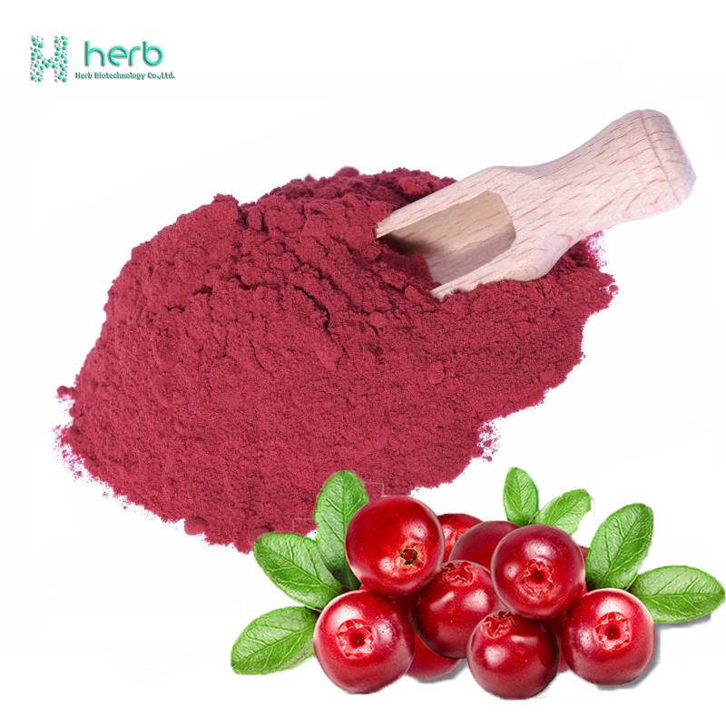 Organic Cranberry Extract Powder Manufacturer - OEM/ODM Wholesale 5% 10% 15% 25% PAC Supplement