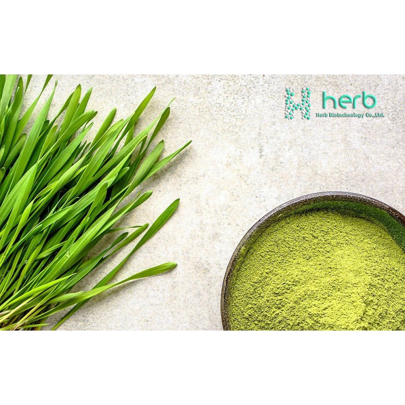 Organic Barley Grass Juice Powder Manufacturer - OEM/ODM Premium Barley Grass Supplement