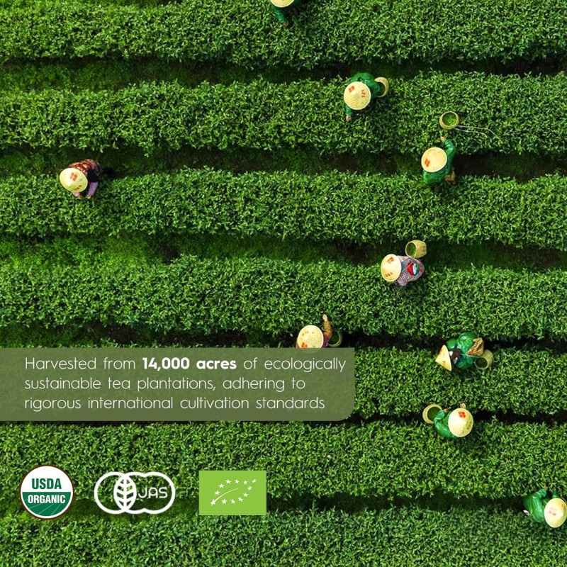 ODM/OEM Matcha Powder Manufacturer - Private Label Organic Mineral Superfood Dietary Fiber Complete Multivitamin Supplement