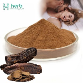 Cistanche Extract Powder Manufacturer - OEM/ODM High Quality 10:1 20:1 Cistanche Tubulosa Supplement