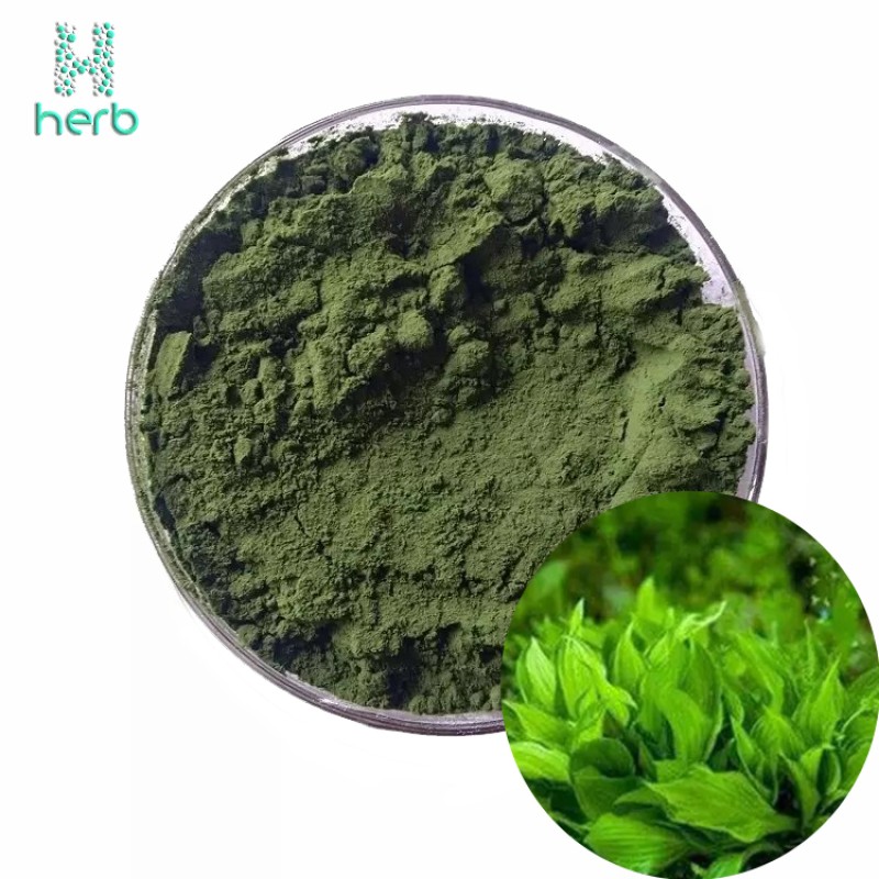 Organic Spirulina Powder Manufacturer - OEM/ODM Wholesale Bulk 100% Pure Green Food/Feed Grade