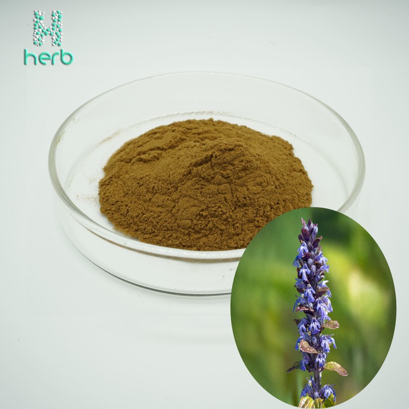 Turkesterone Extract Powder Manufacturer - OEM/ODM Wholesale Bulk 100% Pure 2% 10% Ajuga Turkestanica